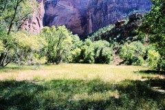 Zion national park