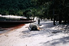 Venezuela Canaima