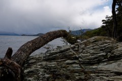 Parque Nacional Tierra del Fuego