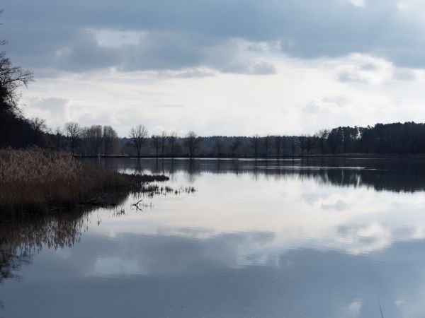 Bischofsweiher