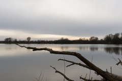 Lago de molina vieja