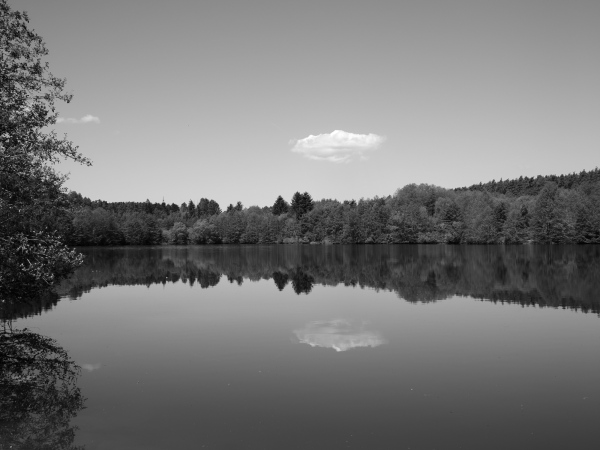 Teich bei Pleinfeld
