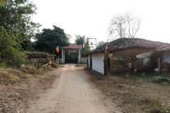 at the way home in Kanha