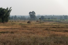farmers are sleeping