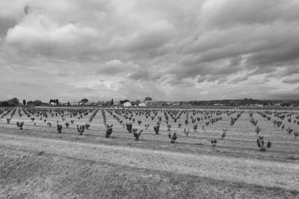 Landschaft Toskana