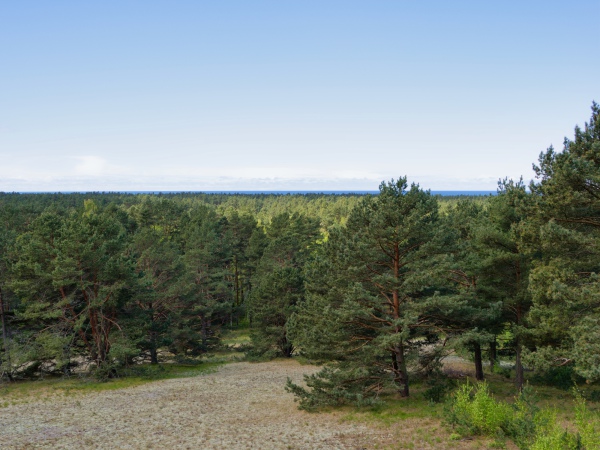 Blick von der Parnidis Düne zur Ostsee