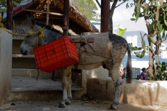 Transporte público