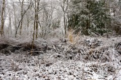 Winterlandschaft