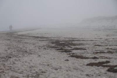 Strand Darß